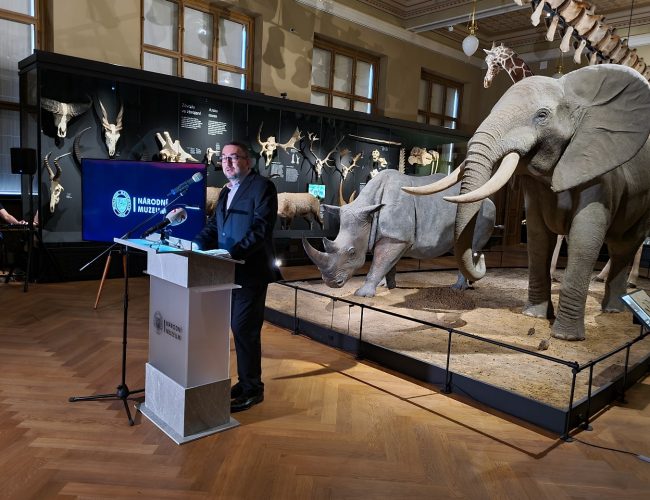Národní muzeum vrátilo velrybu do moře. Nová aplikace nabízí i spoustu dalších vychytávek