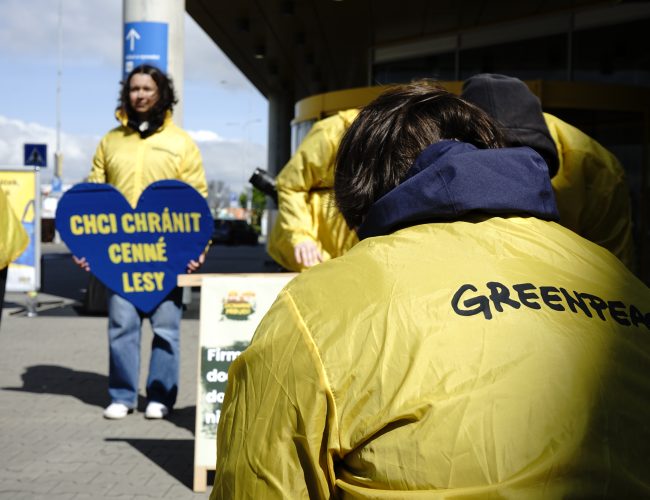 Aktivisté kritizují výrobce nábytku IKEA kvůli ničení starých lesů. Dřevo z chráněných lesů nepřijímáme, brání se firma