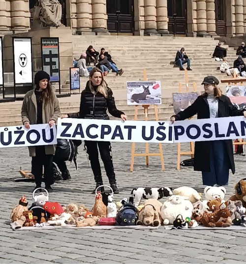 Zákon o pyrotechnice stále čeká: Organizace vyzývají poslance k okamžité akci