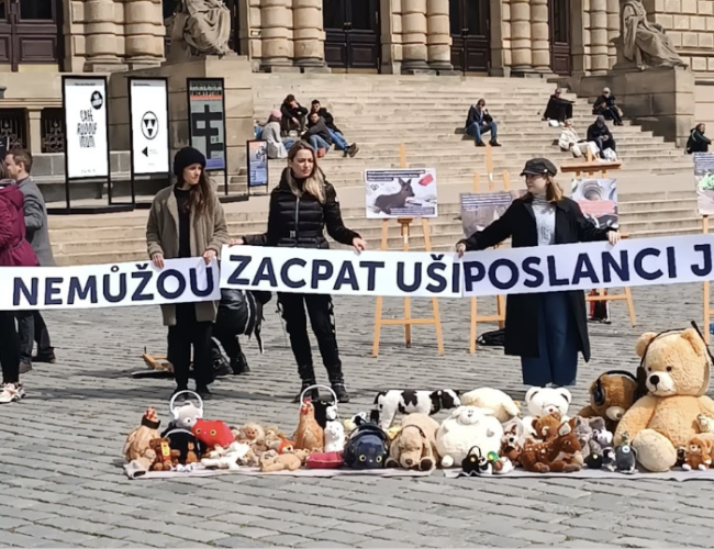 Zákon o pyrotechnice stále čeká: Organizace vyzývají poslance k okamžité akci