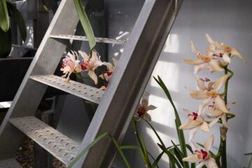 Na Pražský hrad dorazilo jaro o něco dříve. Kromě květin ho zdobí i umění