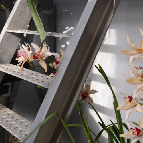 Na Pražský hrad dorazilo jaro o něco dříve. Kromě květin ho zdobí i umění