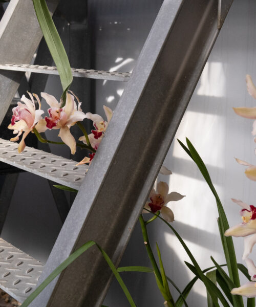 Na Pražský hrad dorazilo jaro o něco dříve. Kromě květin ho zdobí i umění