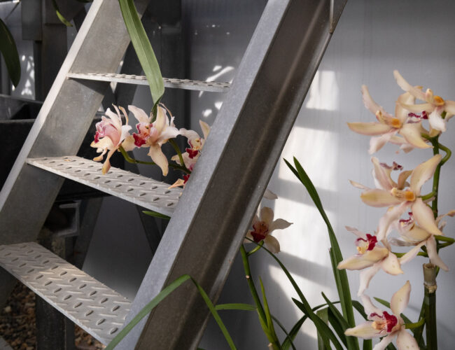 Na Pražský hrad dorazilo jaro o něco dříve. Kromě květin ho zdobí i umění